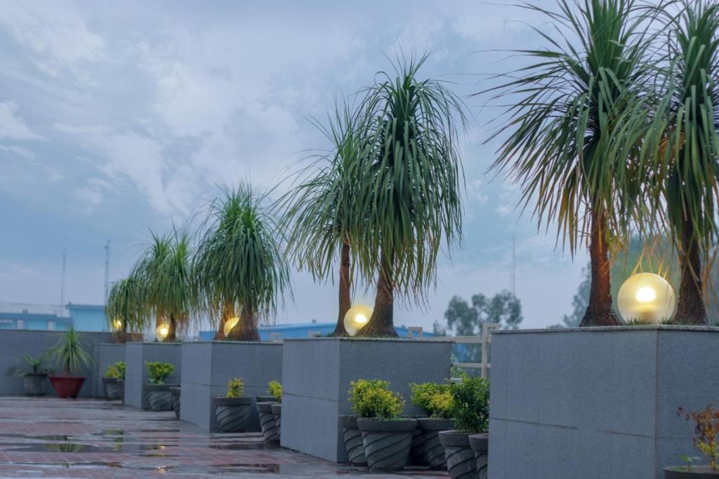 Mg Regency Hotel Baddi Luaran gambar